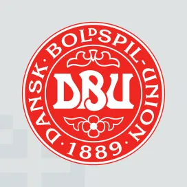 Denmark football team